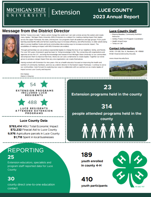 A photo of the first page of the report.