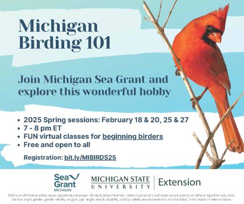 decorative item - all information included in event description.