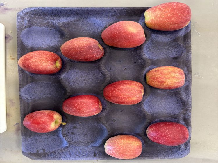10 red apples in a carton.