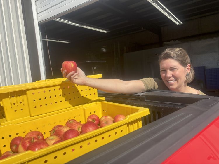 A woman smiles while standing beside a truck, holding up a red apple. In front of her are bright yellow crates filled with apples. She is outdoors near a building with an open garage-style door, and sunlight is shining on her face and the apples.