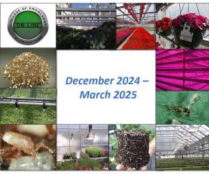 Sign up today for four greenhouse online courses