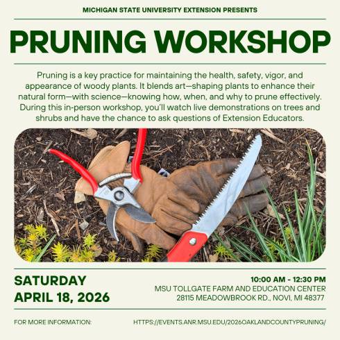 Designed flyer with information about workshop. All information is repeated on this page.