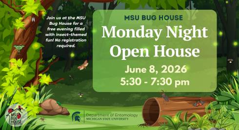 A night-time forest scene with trees, a rotting log, and shrubs. Fireflies glow in the distance, and many insects are present, such as moths on the trees and log, caterpillars in the greenery, mosquitoes and fireflies and moths flying, and a cicada and spider hiding in the corners. Text reads 