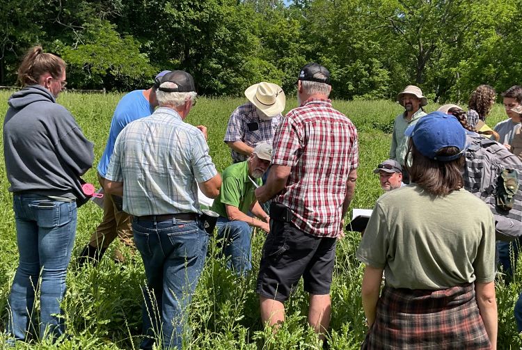 group of people standing in a field
