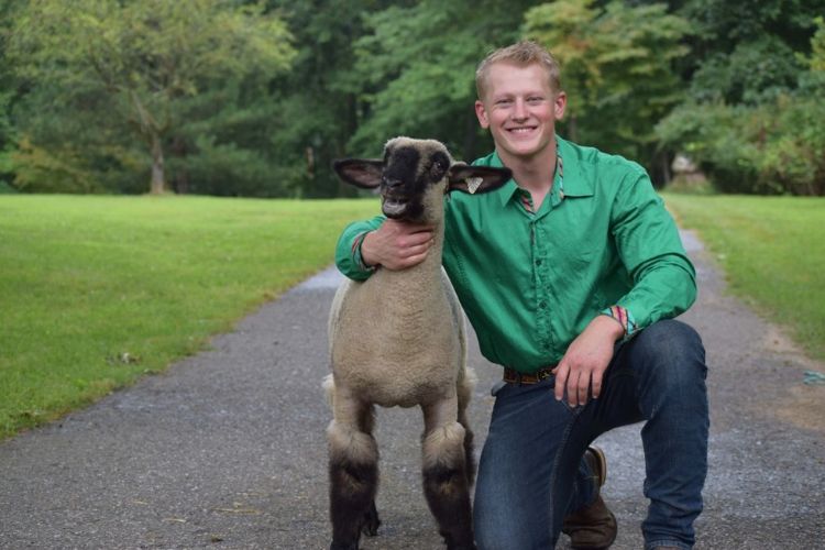 A blond young man in a green shirt kneeled down next to a sheep.