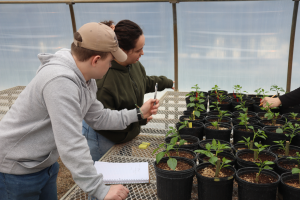 FOR 175: Tree Biology