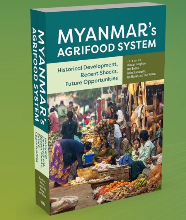 Myanmar’s Agrifood 
System:
Overview and Recent Shocks