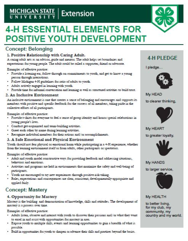 Thumbnail of the essential elements document.