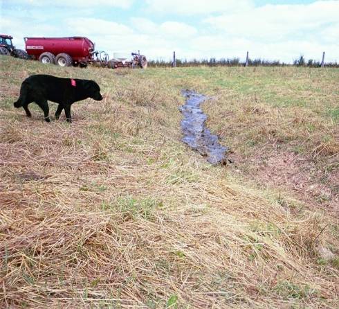Liquid manure from a tanker in a ditch.