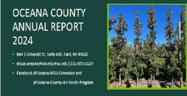 A photo of the first page of the report.