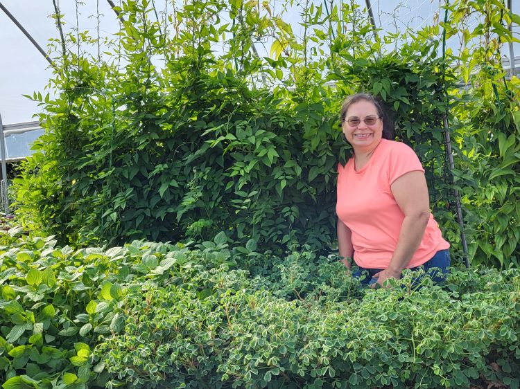 A woman standing in front of roundnuts, ocas and African potato mint.