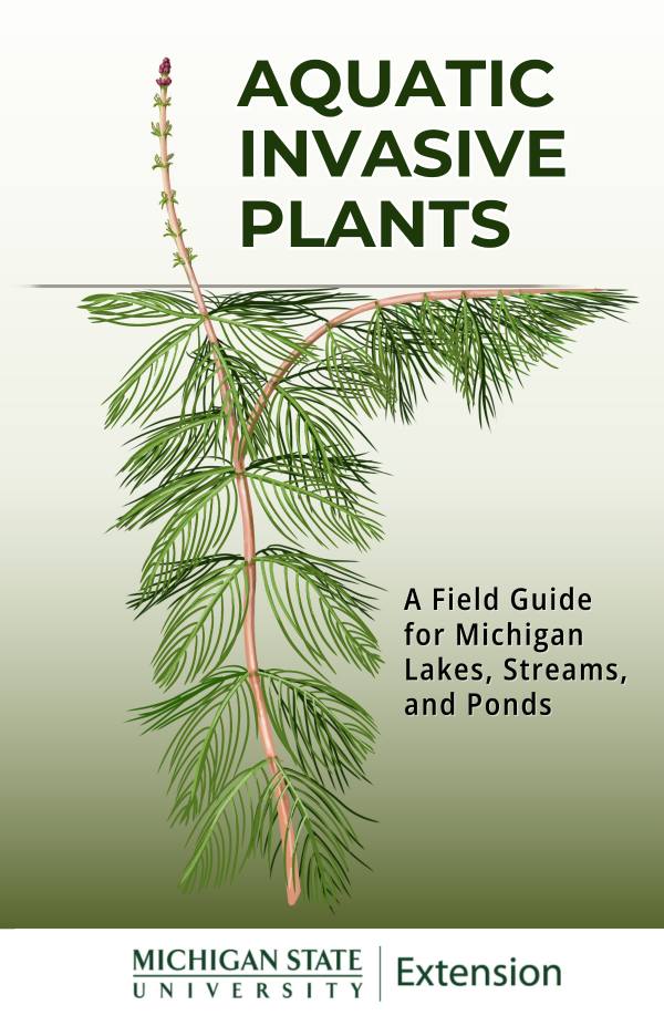 Cover features the aquatic invasive plant Eurasian watermilfoil.