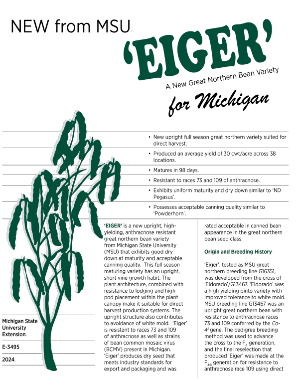 Cover of front of fact sheet.