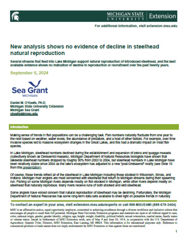 Screenshot shows title page of document.