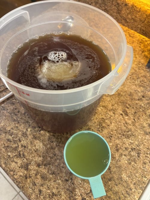 A photo of a kombucha SKOBY
