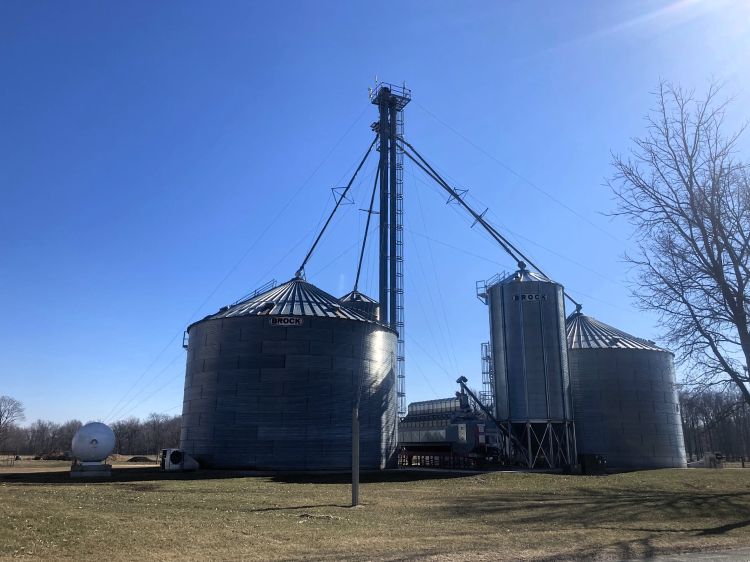 Several metal grain bins and a grain handling system stand on a farm property under a clear blue sky.