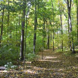 Alum Updates Summer 2025