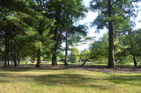 The People’s Park courtyard area between Wells Hall, Erickson Hall and the International Center, which is the location of the Indian encampment site on the campus of Michigan State University.