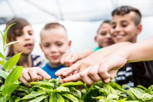 2024-25 Michigan 4-H Foundation mini grant recipients announced