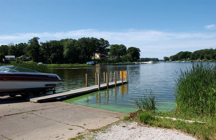A picture from the boat launch at Spring Lake, looking out toward the lake. Likely harmful algal bloom shows up as green along the shoreline.  Photo: Michigan Sea Grant