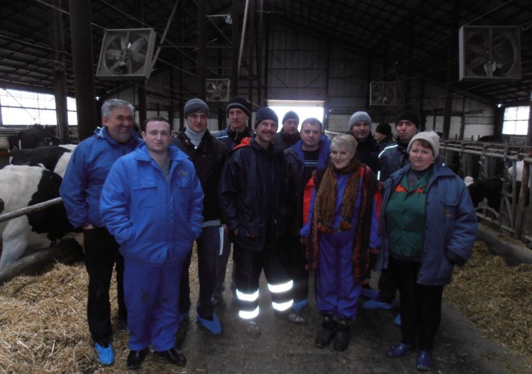 A group of 12 people standing in the aisle of a dairy barn.