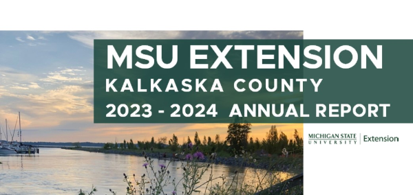 Front page of annual report showing image of inland lake at sunset in the background with wildflowers in the foreground.