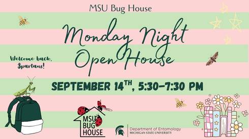 Decorative green and pink stripes in the background, various moths and bees flying, a mantis perched on a backpack, and a row of books with flowers all form decorative elements. The text reads 