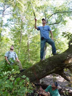 Tim Boland is Executive Director of Polly Hill Arboretum