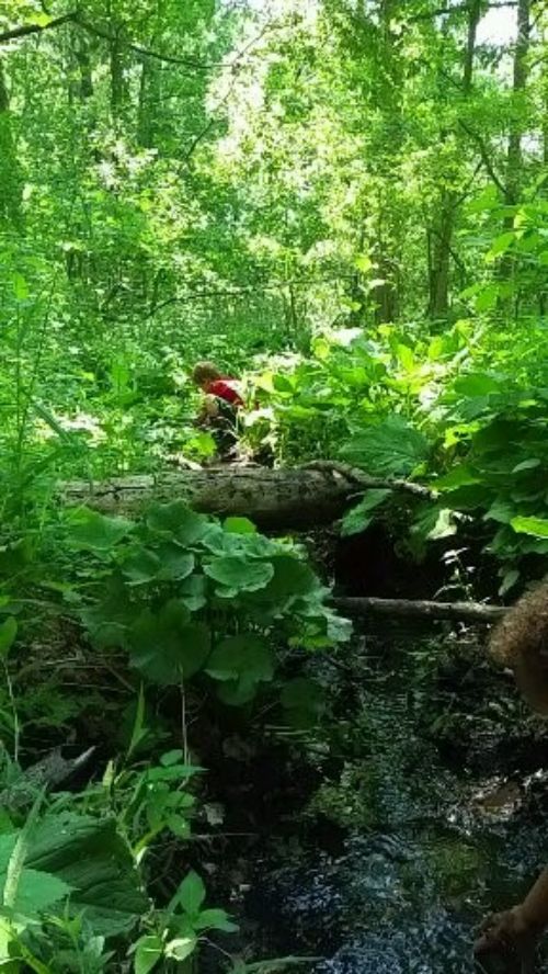 A child plays in a spring fed wetland on private property in southern Michigan. Photo by Monica Day, MSU Extension