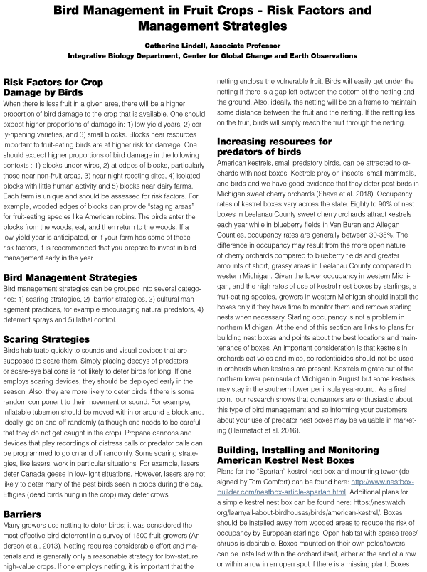 For decorative purpose