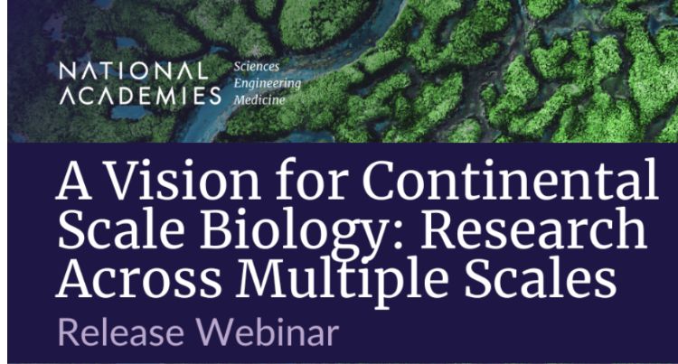 Copy of promotion for webinar