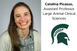 Dairy Spotlight: Catalina Picasso