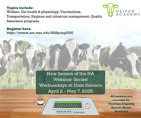 Heifer academy series graphic