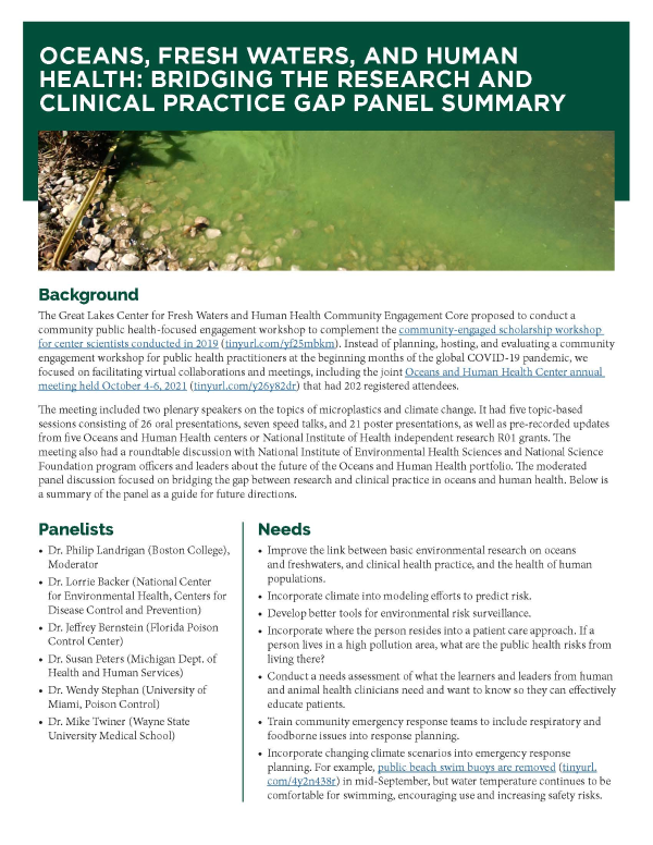 The front cover of a summary report. The complete text of the report is included in the body of this document.