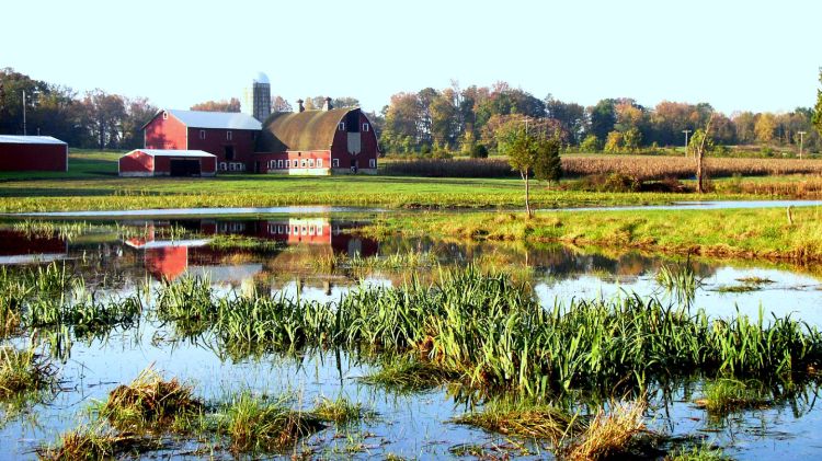 wetland area in front of a barn