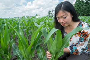 CHIA: At the intersection of farming and human health