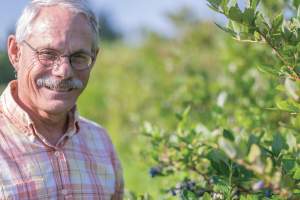 Continuing to bear fruit: MSU AgBioResearch scientist’s blueberry varieties