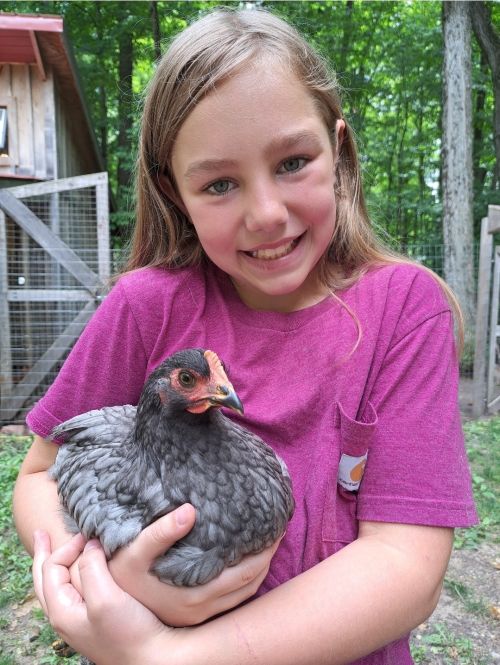 A young girl in a purple shirt smiling as she holds a chicken.