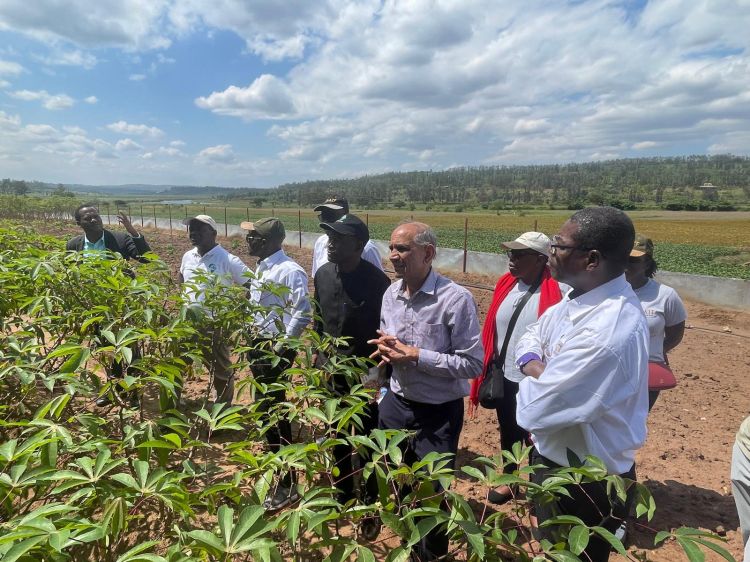Karim Maredia working with collaborators in Rwanda.