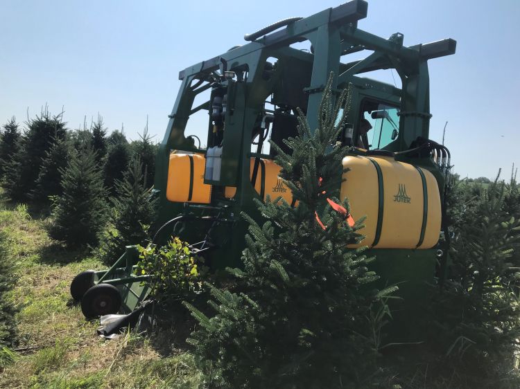 Sprayer in Christmas tree field
