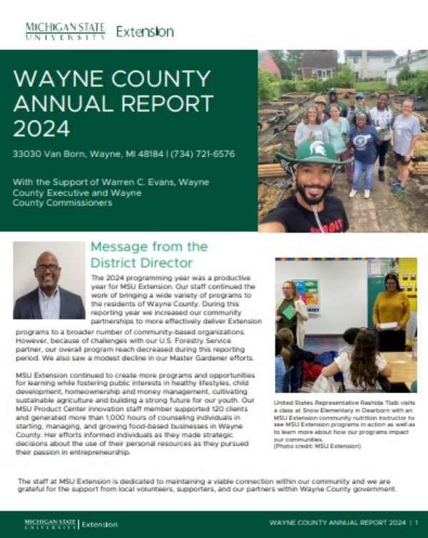 Cover of Wayne County Annual Report 2024