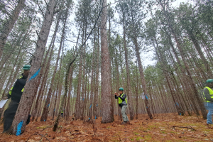 A Look Inside FOR 420: Forestry Field Studies