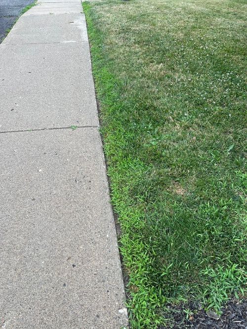 For decorative purposes.