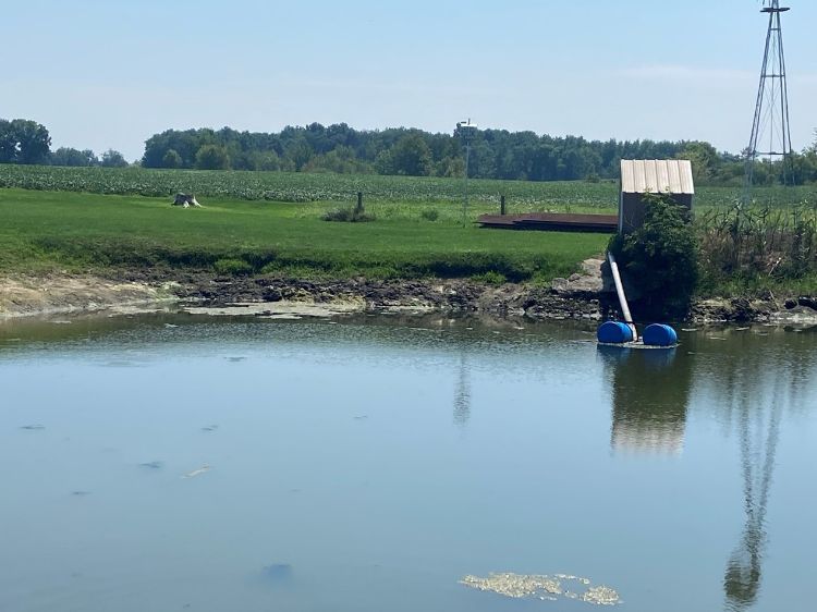 A pond next to a field where crops are grown.