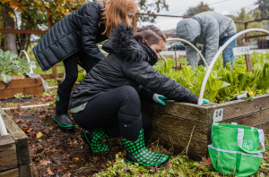 2025-26 Michigan 4-H Foundation mini grant recipients announced