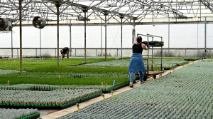 Are you in compliance with the Earned Sick Time Act?