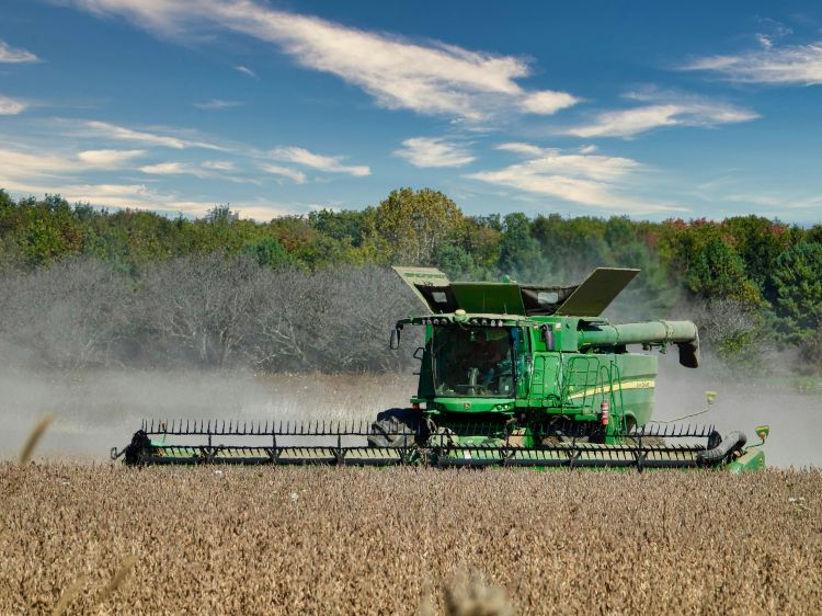 green tractor with harvest attachment harvesting in a wheat field