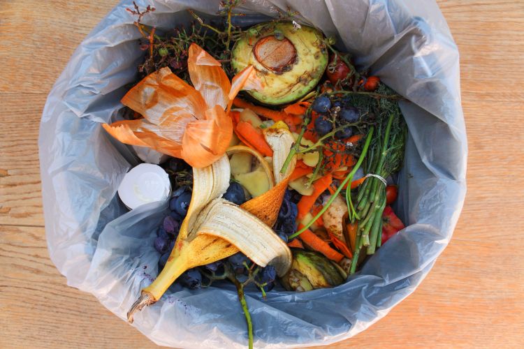 A photo of a trash can full of food waste including a banana peel and an avocado.