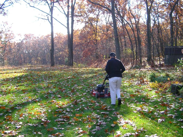 A person mowing a yard covered in fallen leaves.