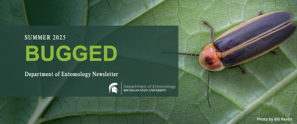 Summer 2025 Bugged Newsletter header